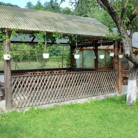 Pensiunea Casa Domniței Sucevița-2