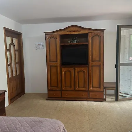Pensiunea Casa Domniței Sucevița-3